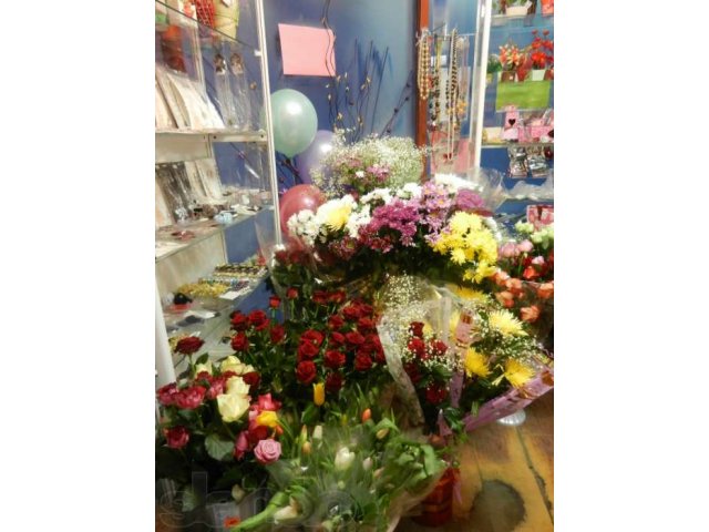Подаю цветочный бизнес в городе Сыктывкар, фото 2, Прочий бизнес