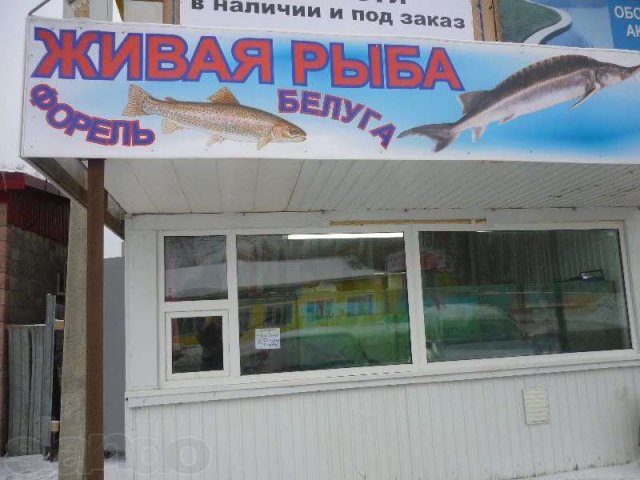 Продам действующий бизнес в городе Самара, фото 2, Прочий бизнес