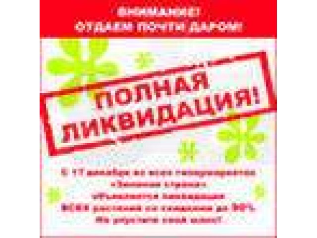 Избавление  граждан от долгов через банкротство в городе Пермь, фото 3, Прочие юридические услуги