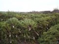 Помощь с грузоперевозками в городе Саратов, фото 2, стоимость: 0 руб.