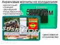 Магниты на холодильник в Канаше. Изготовление в городе Канаш, фото 2, стоимость: 0 руб.