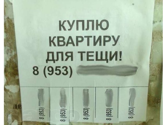 Расклейка объявлений (г. Тюмень) в городе Тюмень, фото 1, Прочие рекламные услуги