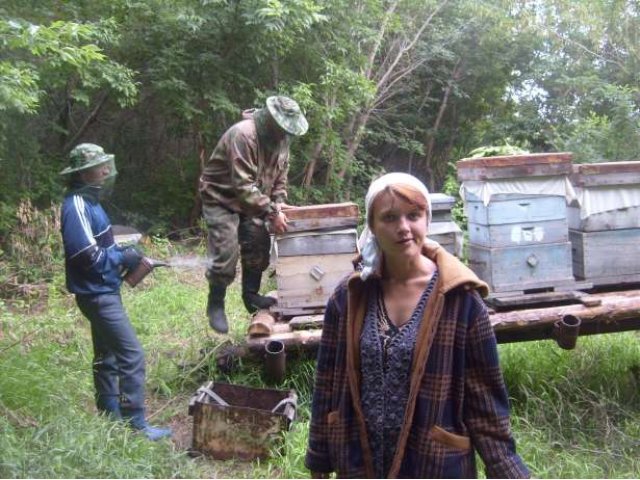 Пчеловод с Алтая заключает договора на поставку сотового мед в городе Тюмень, фото 1, Партнерство, сотрудничество, инвестиции