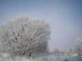 Приглашаю всех на спортивные вечера для тренировок, на свежем воздухе) в городе Смоленск, фото 1, Смоленская область