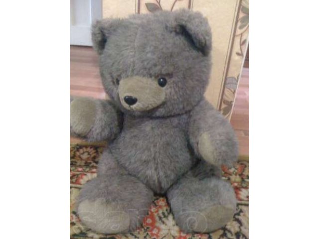 Серый медведь в городе Абакан, фото 1, стоимость: 1 000 руб.