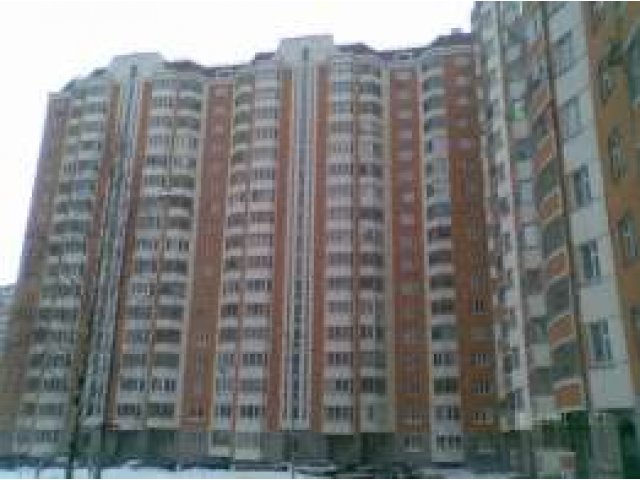 Сдам 1-к квартиру (мкрн.Южный) в городе Балашиха, фото 1, стоимость: 20 000 руб.