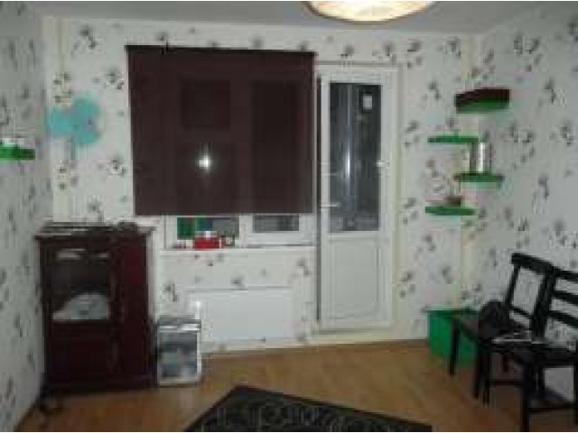 сдается комната для семейной пары в городе Химки, фото 1, стоимость: 15 000 руб.