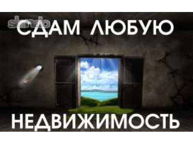 Сдам комнату Б.Московская 86 в городе Великий Новгород, фото 1, стоимость: 5 000 руб.