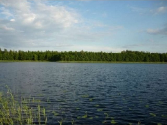 отдых на браславских озерах в городе Санкт-Петербург, фото 1, стоимость: 1 500 руб.