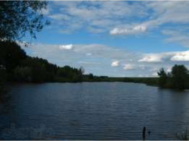 Сдам в аренду пруд в городе Воронеж, фото 1, стоимость: 10 000 руб.