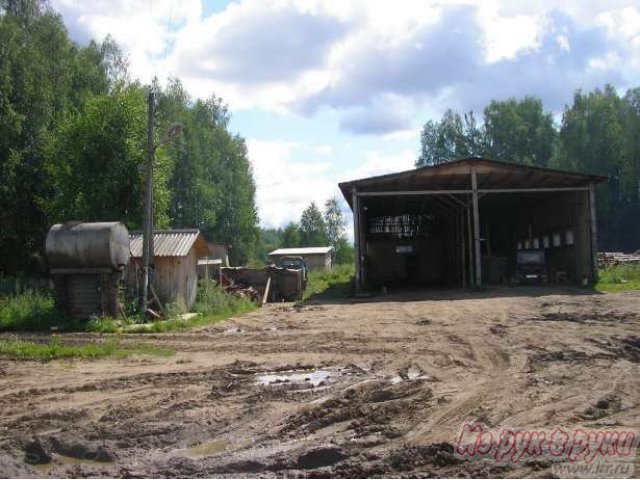 Продаю Деревообрабатывающее производство в городе Грозный, фото 6, стоимость: 4 000 000 руб.