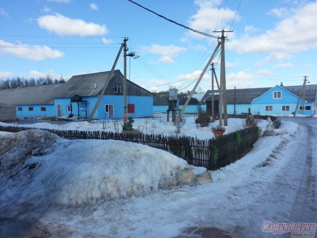 Продается фермерское хозяйство в городе Луга, фото 3, Ленинградская область