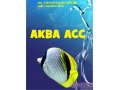 Аквариумы и террариумы на заказ в городе Калининград, фото 1, Калининградская область