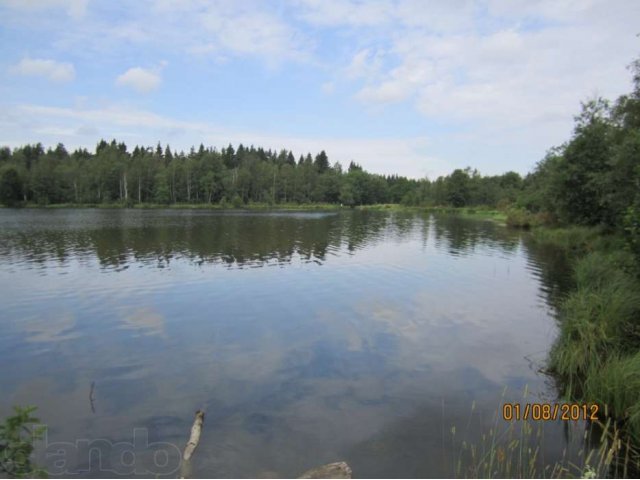 Дом в Ново Токсово в городе Санкт-Петербург, фото 7, Дома посуточно, почасово