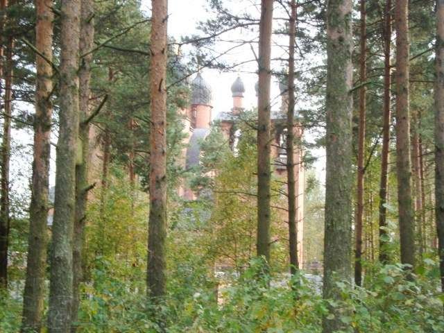 Дом в Токсово в городе Санкт-Петербург, фото 2, Дома посуточно, почасово