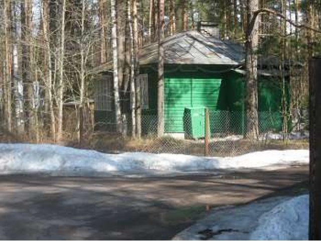 Дом в Комарово (Курортный район) Удобства все в городе Санкт-Петербург, фото 1, Дома посуточно, почасово