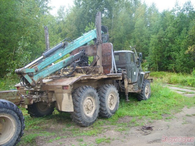 лесозаготовка/лесопереработка в городе Кострома, фото 1, Бизнес под ключ