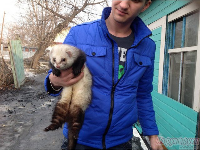 Предлагаю вязку в городе Кемерово, фото 1, Кемеровская область