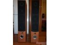 Pure acoustics EX750F в городе Нижний Новгород, фото 3, Аксессуары