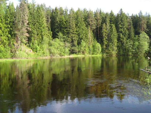 Дом с земельным участком №340 в городе Торопец, фото 1, Тверская область