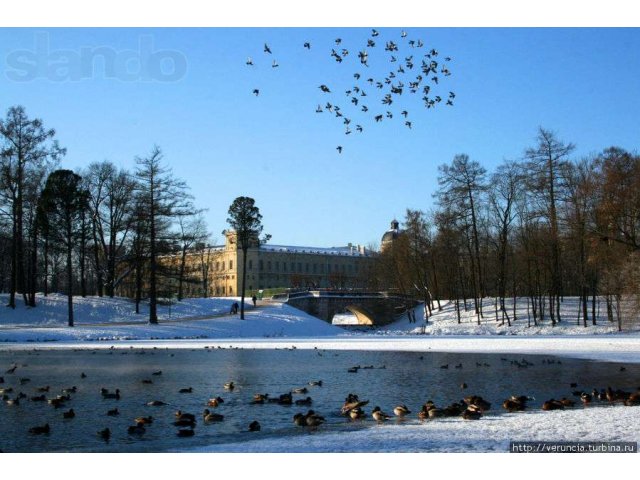 Продам новую 3-х квартиру в Гатчине в городе Санкт-Петербург, фото 5, Ленинградская область