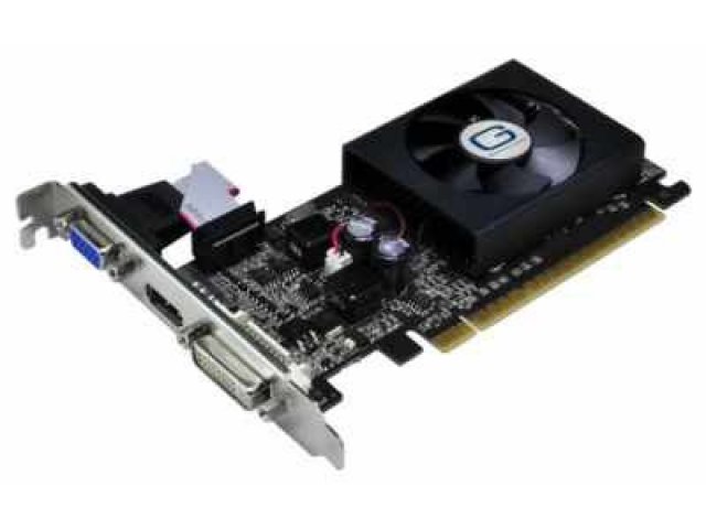 Видеокарта Gainward GeForce 210 589Mhz PCI-E 2.0 512Mb 1250Mhz 32 bit VGA DVI HDMI HDCP (NEAG2100HD53) в городе Челябинск, фото 1, стоимость: 1 190 руб.