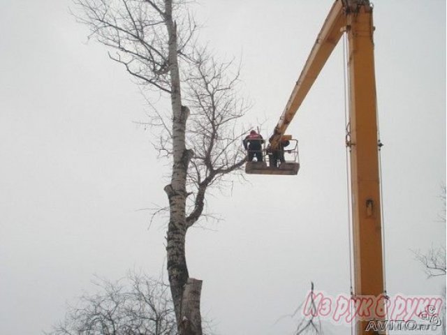 Спил деревьев Самара в городе Самара, фото 5, стоимость: 1 350 руб.