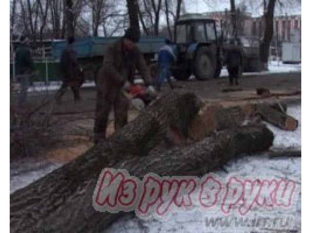 Спил деревьев Самара в городе Самара, фото 9, Cтроительно-монтажные работы