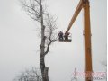 Спил деревьев Самара в городе Самара, фото 5, стоимость: 1 350 руб.