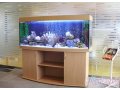 Требуется человек по обслуживанию аквариумов в городе Магнитогорск, фото 1, Челябинская область