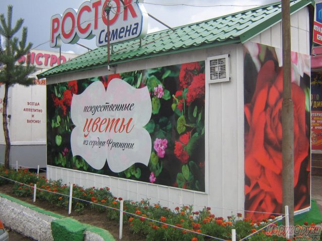 Растения для интерьера в городе Смоленск, фото 10, стоимость: 500 руб.