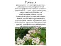 Мед гречишный с пасеки Воронежской области.  В ИЮНЕ УЖЕ СВЕЖИЙ,  АКАЦИЯ И ПРОЧЕЕ в городе Воронеж, фото 1, Воронежская область