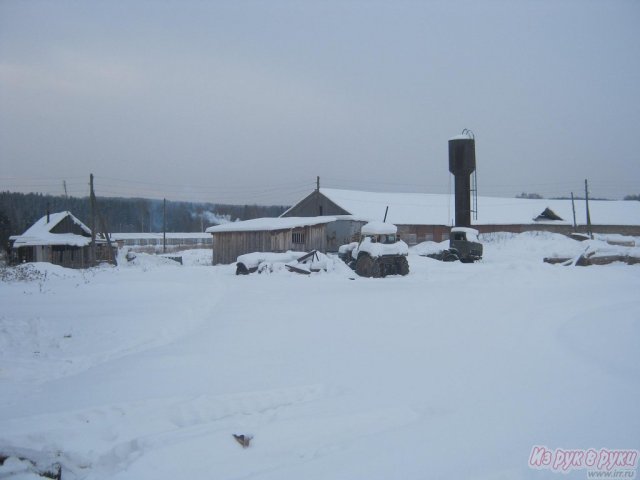 КФХ в городе Пермь, фото 3, Пермский край