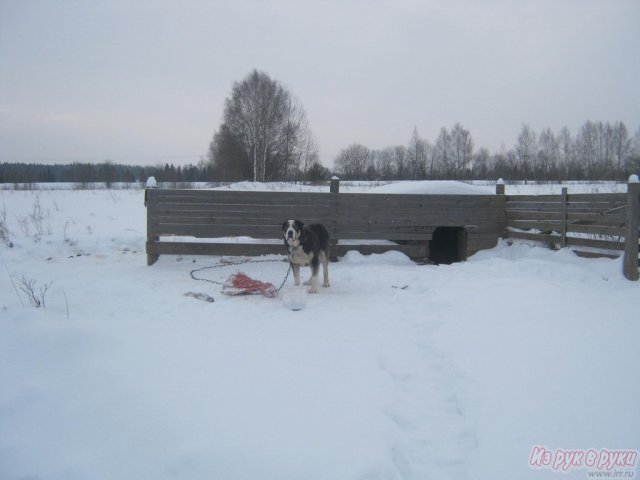 КФХ в городе Пермь, фото 7, стоимость: 15 000 000 руб.