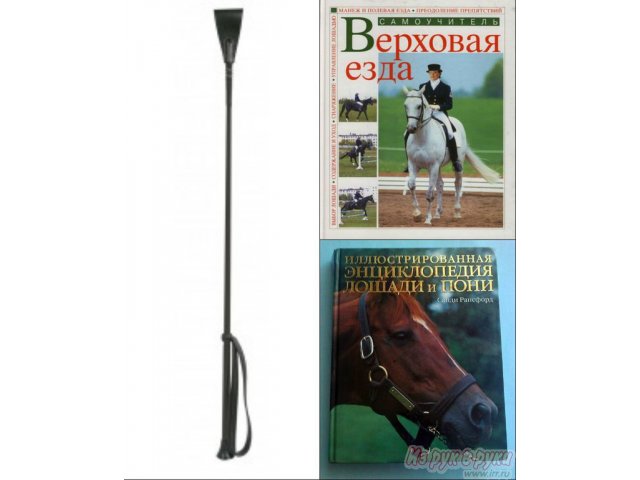 Хлыст,  Самоучители (Для конного спорта) в городе Новосибирск, фото 1, стоимость: 600 руб.