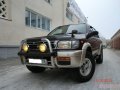 Nissan Terrano,  внедорожник,  1996 г. в.,  пробег:  147000 км.,  автоматическая,  3.3 л в городе Благовещенск, фото 1, Амурская область