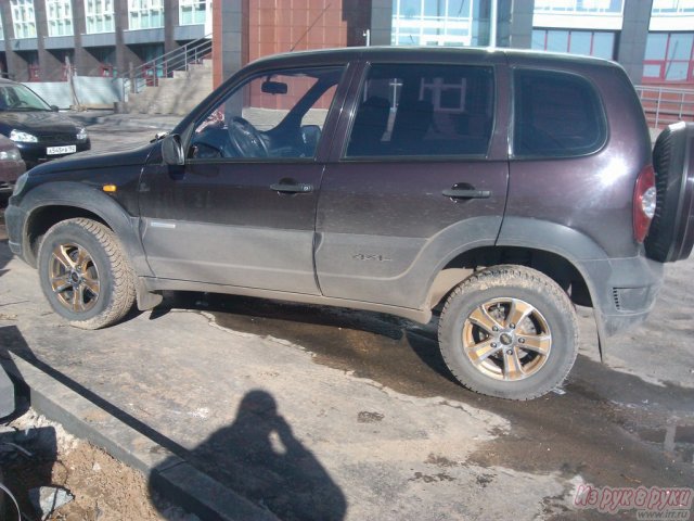 Chevrolet Niva,  внедорожник,  2009 г. в.,  пробег:  53700 км.,  механическая,  1.7 л в городе Нижний Новгород, фото 4, стоимость: 385 000 руб.