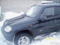 Chevrolet Niva,  внедорожник,  2007 г. в.,  пробег:  97000 км.,  механическая,  1.6 л в городе Ярославль, фото 1, Ярославская область