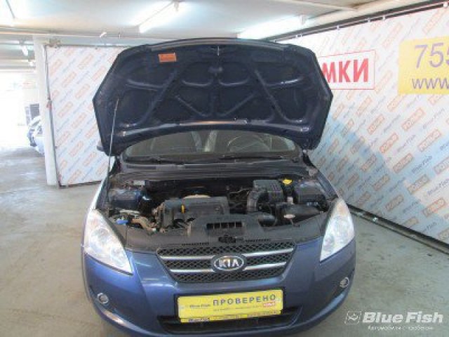 KIA Cee' d,  универсал,  2009 г. в.,  пробег:  88500 км.,  механика,  1,6 л в городе Москва, фото 3, стоимость: 447 500 руб.