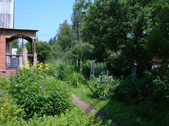 Хотьково,  продам,  дачу,  Хотьково (Сергиево-Посадский муниц.  р-н),  Ярославское ш.,  55км от МКАД,  Площадь дома 60 кв. м.,  Площадь участка 7..  . в городе Хотьково, фото 1, стоимость: 2 800 000 руб.