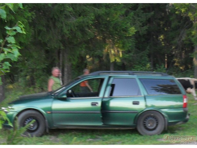 Opel Vectra,  универсал,  1997 г. в.,  механическая в городе Киров, фото 1, стоимость: 205 000 руб.