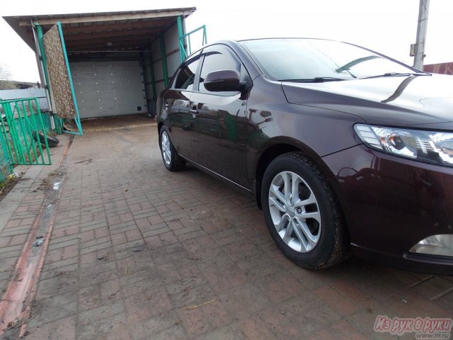 KIA Cerato,  седан,  2011 г. в.,  пробег:  59000 км.,  автоматическая,  1.6 л в городе Нижний Новгород, фото 3, стоимость: 565 000 руб.