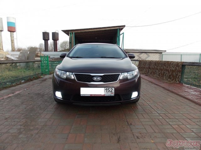 KIA Cerato,  седан,  2011 г. в.,  пробег:  59000 км.,  автоматическая,  1.6 л в городе Нижний Новгород, фото 7, KIA