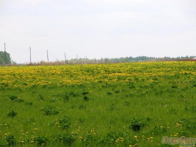 Участок 10 соток,  Сергиево-Посадский р-н,  Сергиев Посад ,  Ярославское ш.  шоссе,  собственность,  земли С/Х назначения в городе Сергиев Посад, фото 2, Московская область