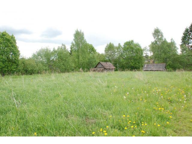 Ровный земельный участок в деревне. в городе Луга, фото 3, Земельные участки