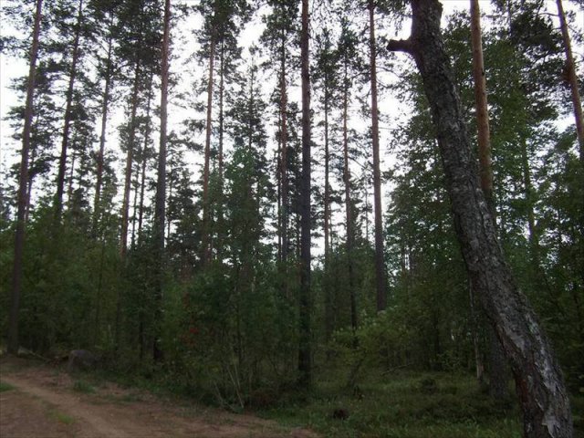 Участок 10.00 соток,  Приозерский р-н,  Приозерск ,  газ в городе Приозерск, фото 4, Ленинградская область