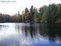 Продам Торковичи в городе Луга, фото 1, Ленинградская область