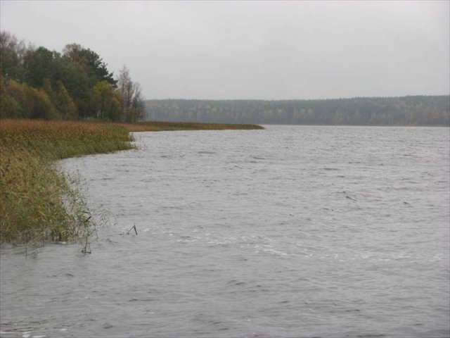 Участок 17.00 соток,  Приозерский р-н,  Приозерск в городе Приозерск, фото 3, стоимость: 4 900 000 руб.