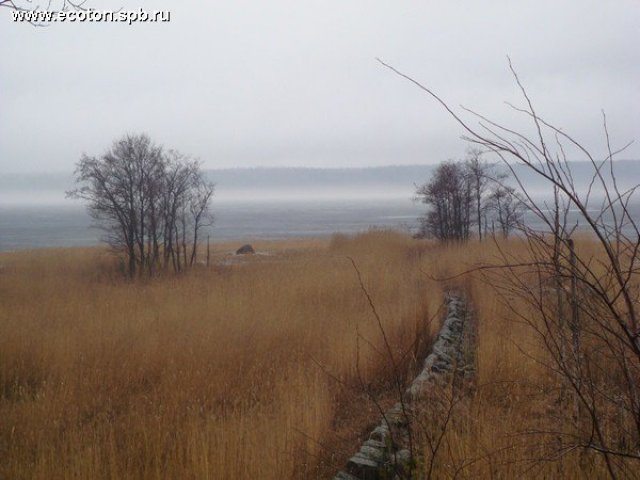 Продам Ландышевка в городе Выборг, фото 2, Ленинградская область