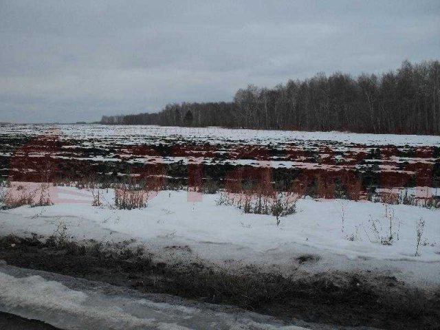 Купить Землю В Д Паренкино Тюмень